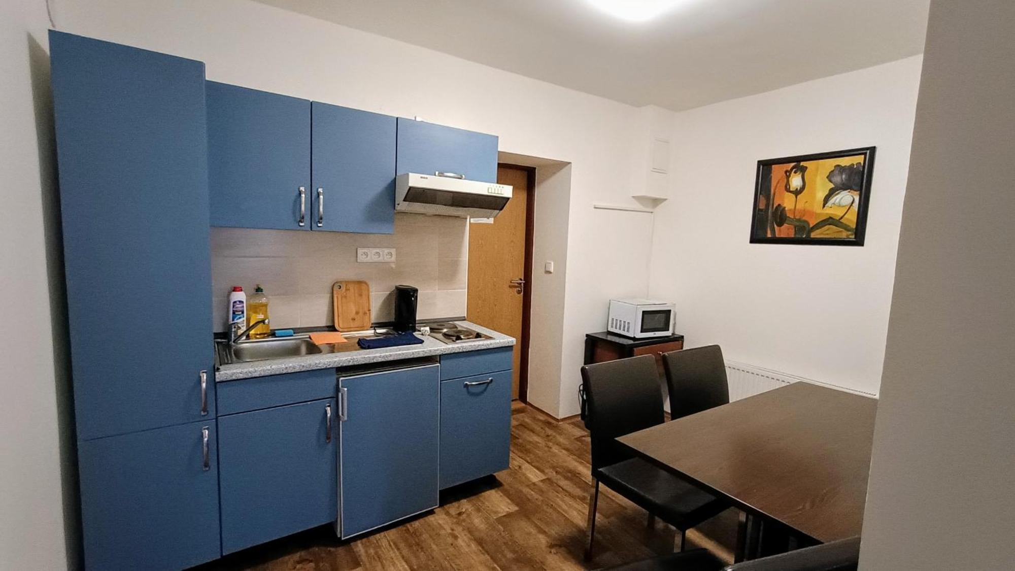 Apartments Gato Karlovy Vary Dalovice Exterior photo